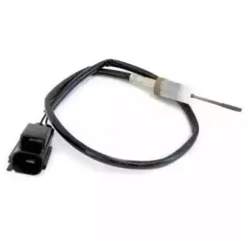 hoffer-7452086