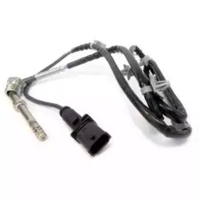 hoffer-7452087