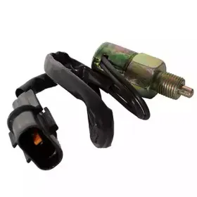 hoffer-3600030