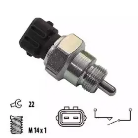 hoffer-3600039