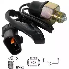 hoffer-3600075
