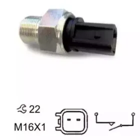 hoffer-3600081