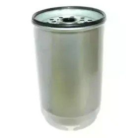 hoffer-4157