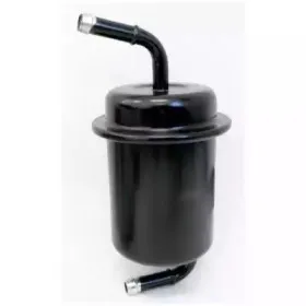 hoffer-4176
