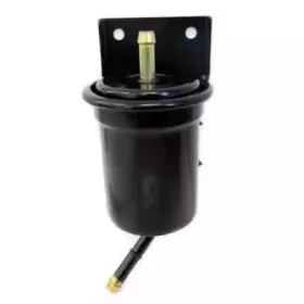hoffer-4204