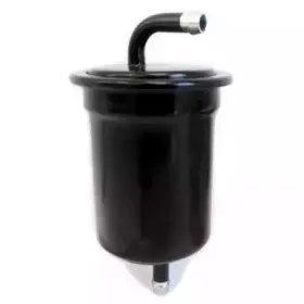 hoffer-4207
