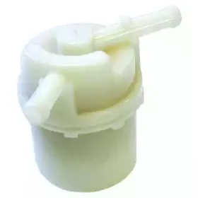 hoffer-4519