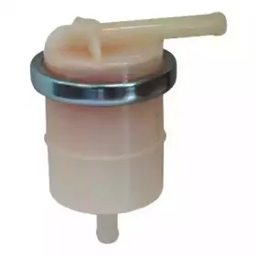 hoffer-4529