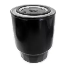 hoffer-4543