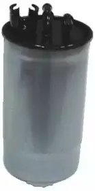 hoffer-4776