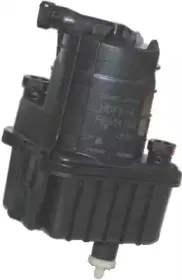 hoffer-4848