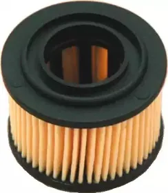 hoffer-4877