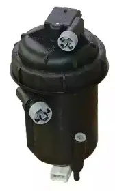 hoffer-4916