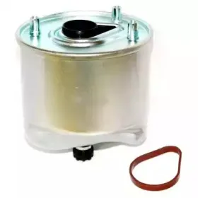 hoffer-4972