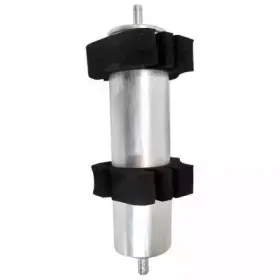 hoffer-5027