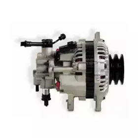 hoffer-55179