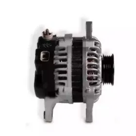 hoffer-55180