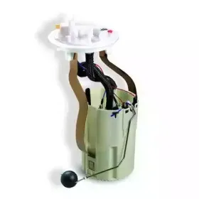 hoffer-7506500