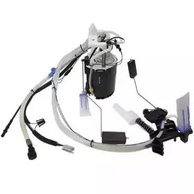 hoffer-7507356