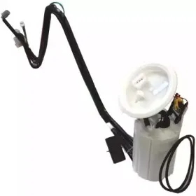 hoffer-7507393