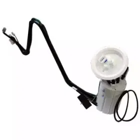hoffer-7507401
