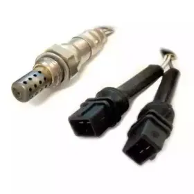 hoffer-7481003