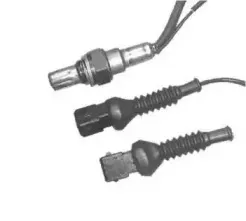 hoffer-7481008