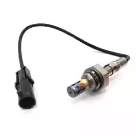 hoffer-7481010