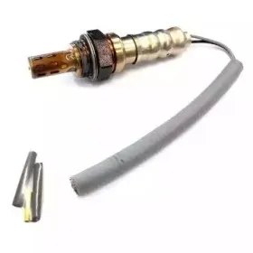 hoffer-7481012