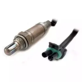 hoffer-7481013
