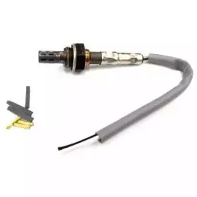 hoffer-7481014