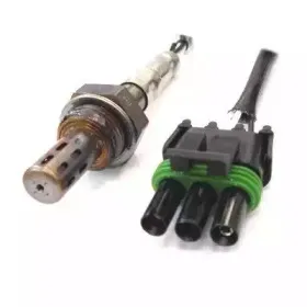 hoffer-7481015