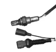 hoffer-7481019