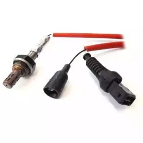 hoffer-7481021