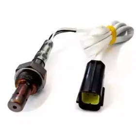 hoffer-7481025