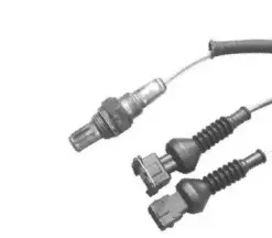 hoffer-7481034