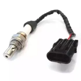 hoffer-7481040