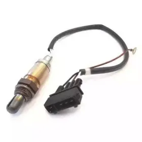 hoffer-7481043