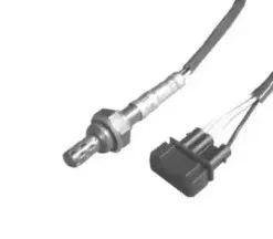 hoffer-7481053