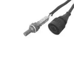hoffer-7481055