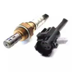 hoffer-7481059