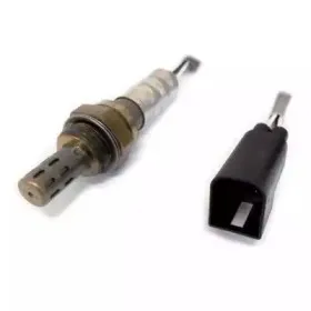 hoffer-7481060