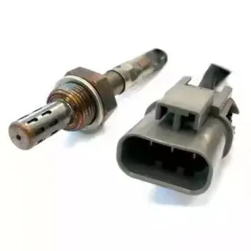hoffer-7481061