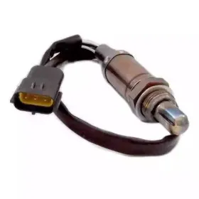 hoffer-7481064