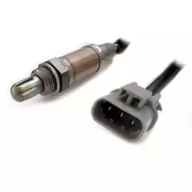 hoffer-7481066