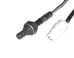 hoffer-7481073