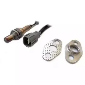 hoffer-7481074