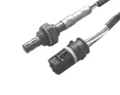 hoffer-7481078