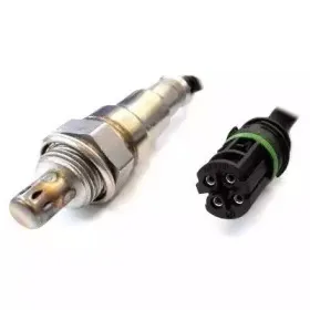 hoffer-7481080