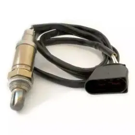 hoffer-7481086
